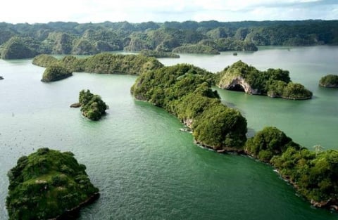 Haitises Park Tour in Samana Dominican Republic