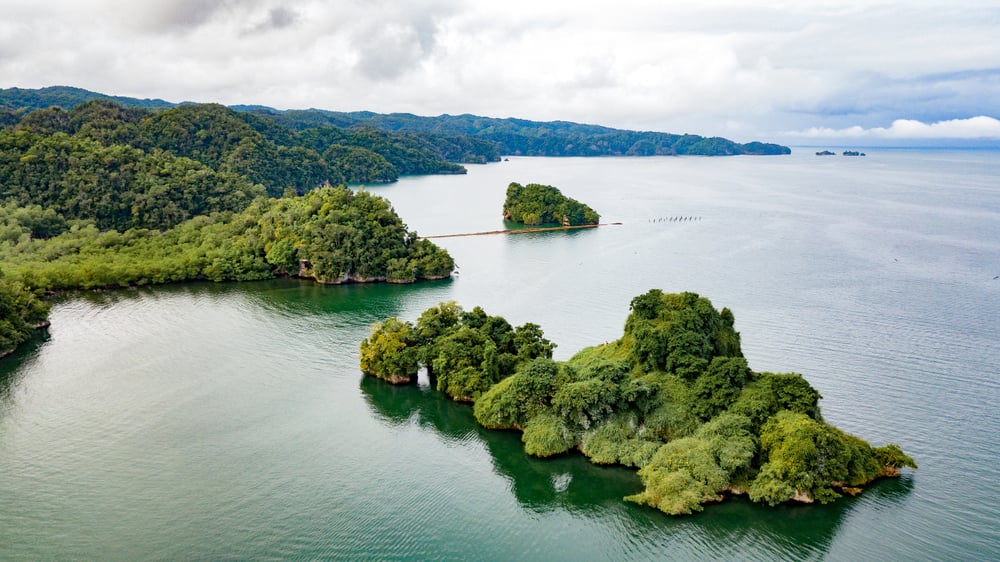 Best Tours from Samana Port Dominican Republic